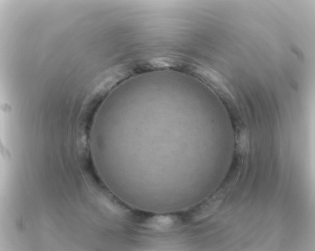 X0000091350418200708101534