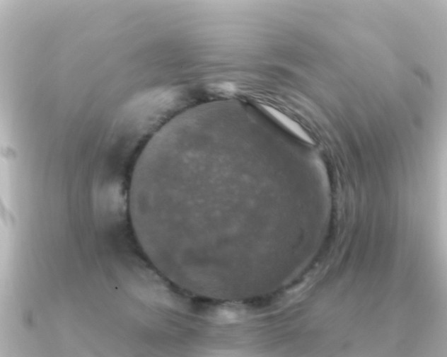 X0000091350420200708101534
