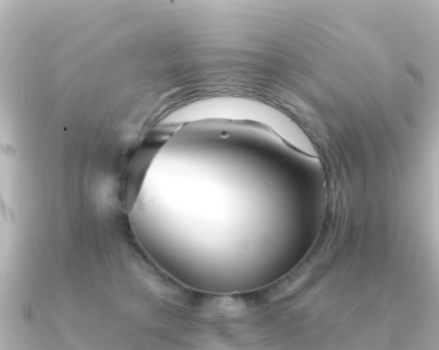 X0000091350421200708101534