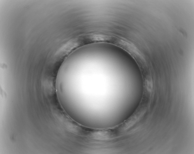 X0000091350422200708101534