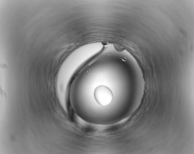 X0000091350423200708101534