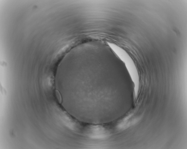X0000091350424200708101534