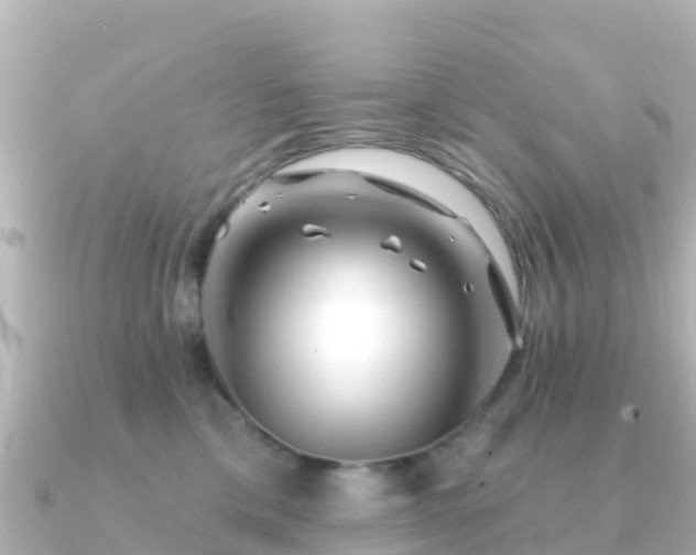 X0000091350425200708101534