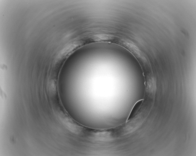 X0000091350426200708101534