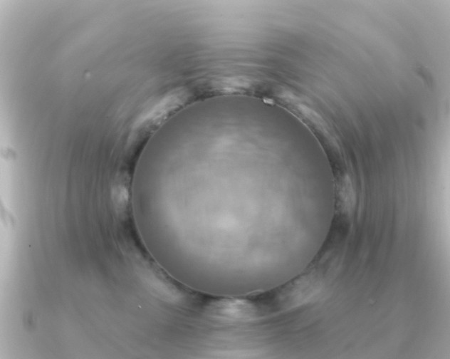 X0000091350427200708101534