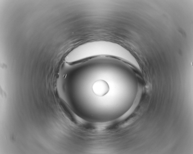 X0000091350428200708101534