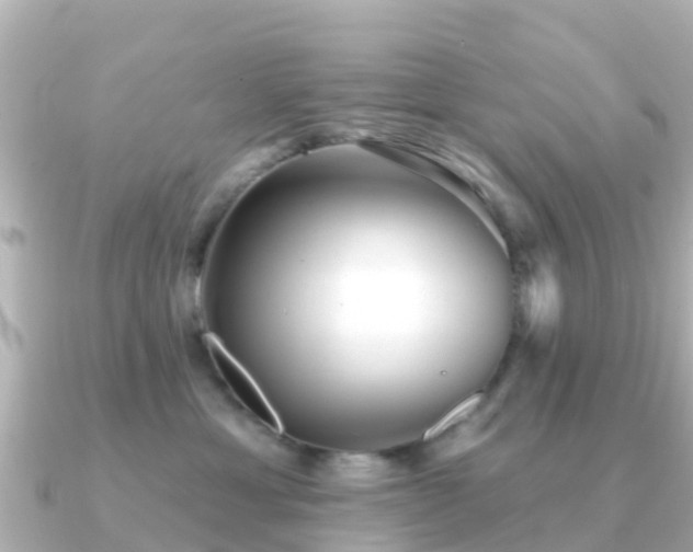 X0000091350429200708101534