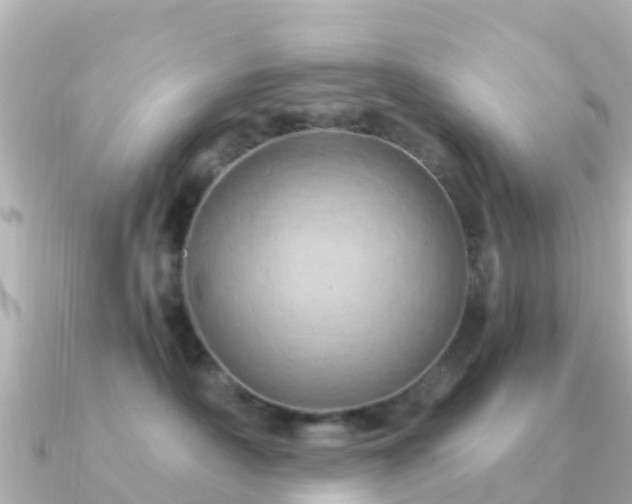 X0000091350430200708101534