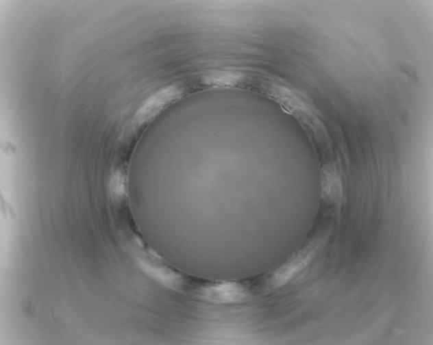 X0000091350431200708101534