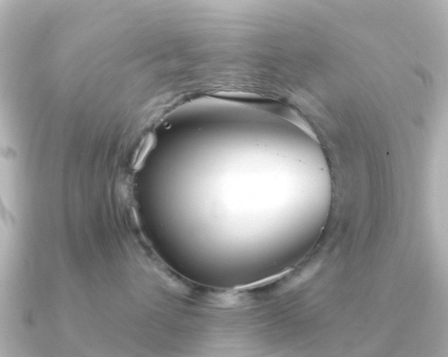 X0000091350432200708101534