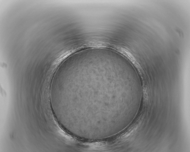 X0000091350433200708101533