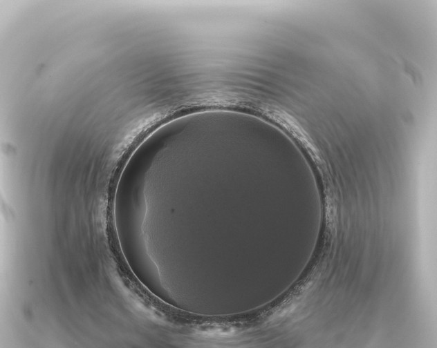X0000091350434200708101533