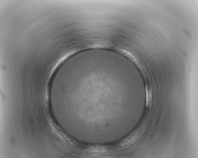 X0000091350435200708101533
