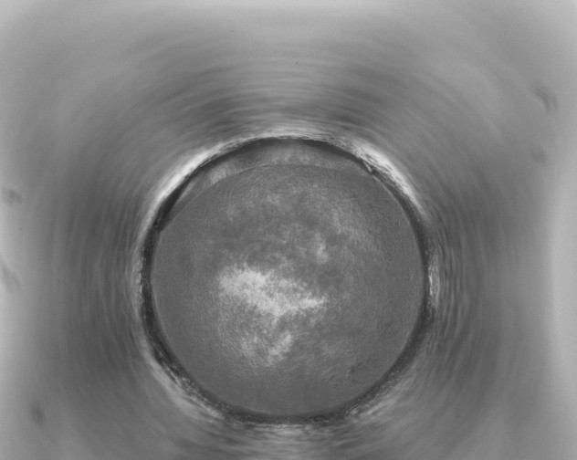X0000091350436200708101533