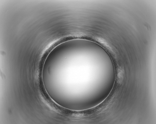 X0000091350440200708101533