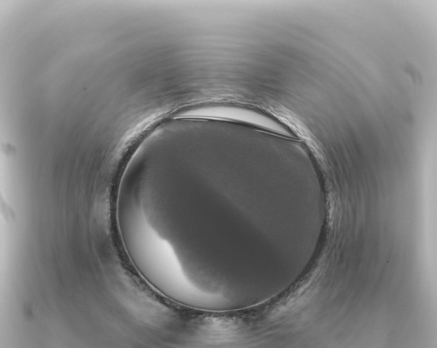X0000091350442200708101533