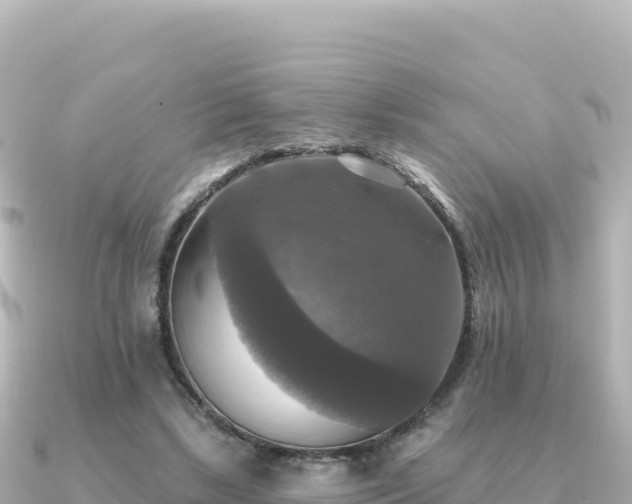 X0000091350443200708101533