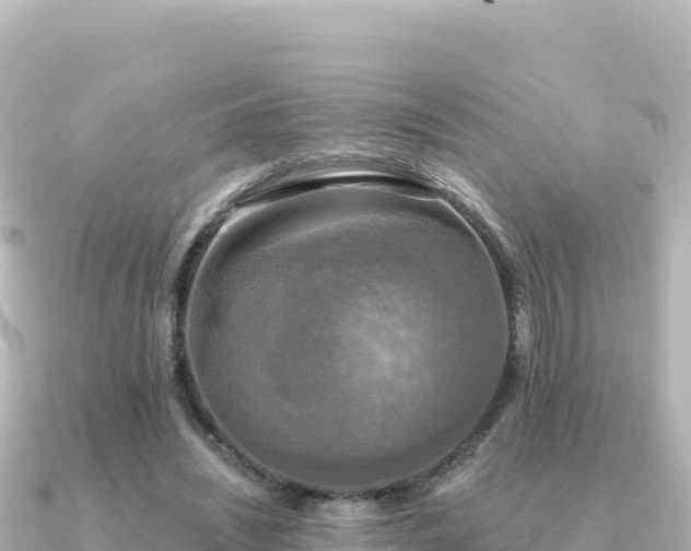 X0000091350444200708101533