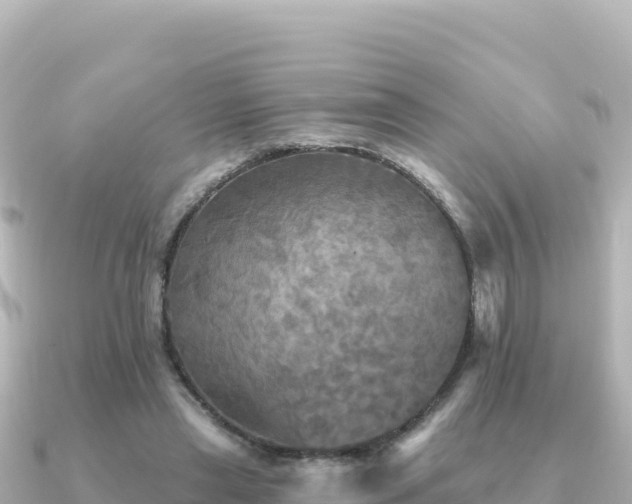 X0000091350445200708101533