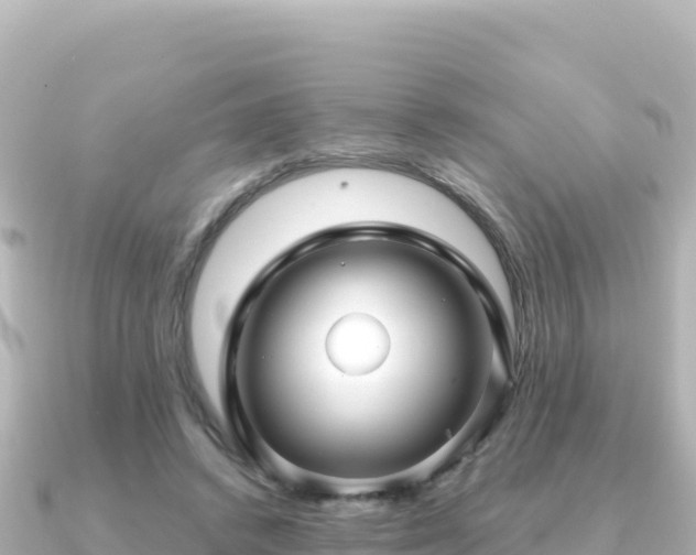 X0000091350448200708101533