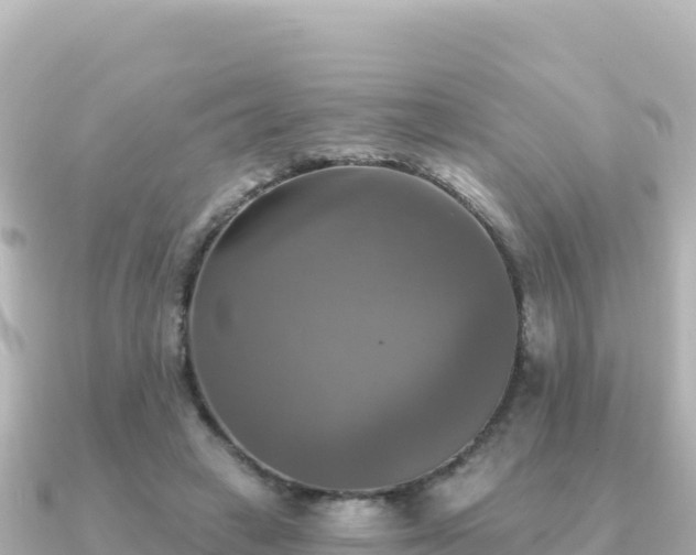 X0000091350449200708101533