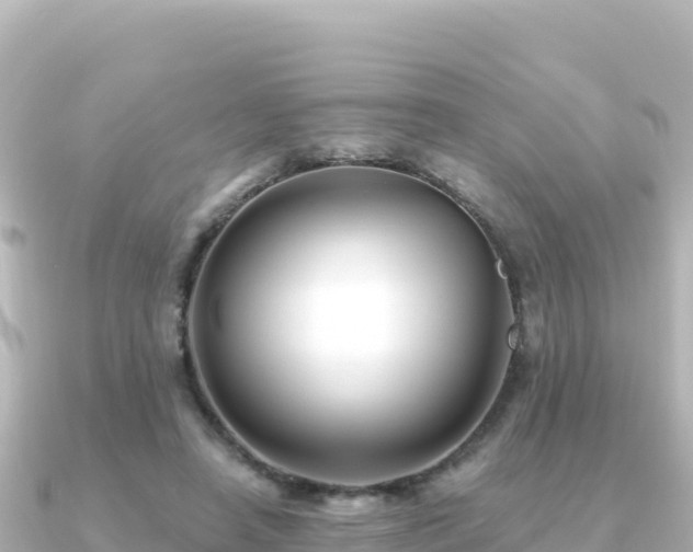 X0000091350450200708101533