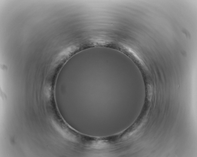 X0000091350451200708101533