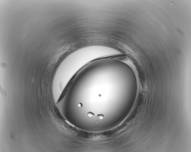 X0000091350452200708101533