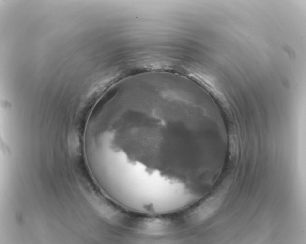 X0000091350453200708101533