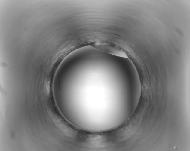 X0000091350454200708101533