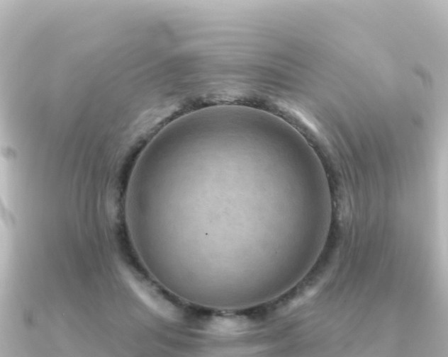 X0000091350455200708101533