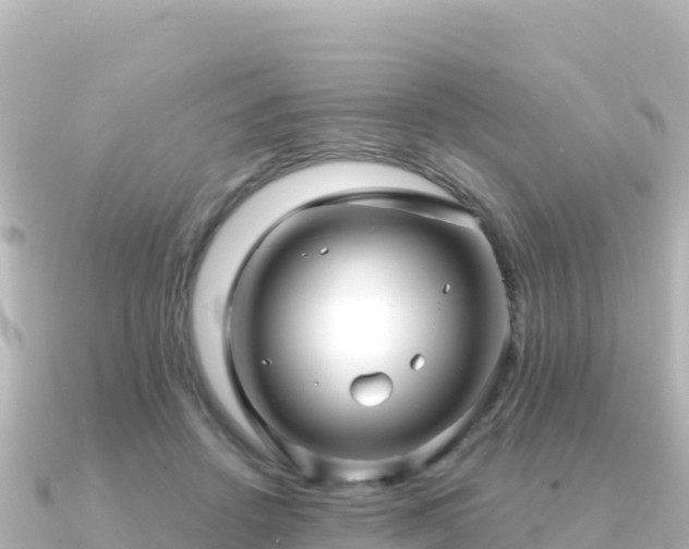 X0000091350456200708101533