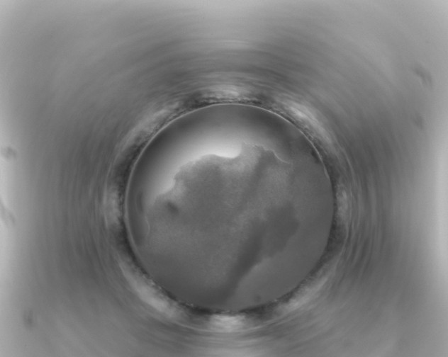 X0000091350457200708101533