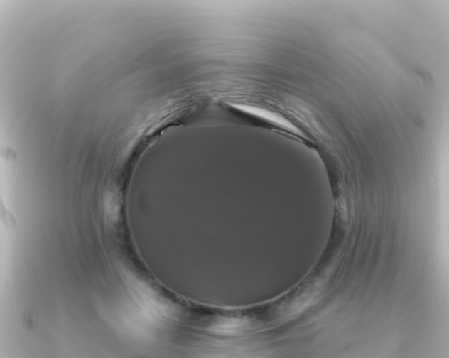 X0000091350458200708101533