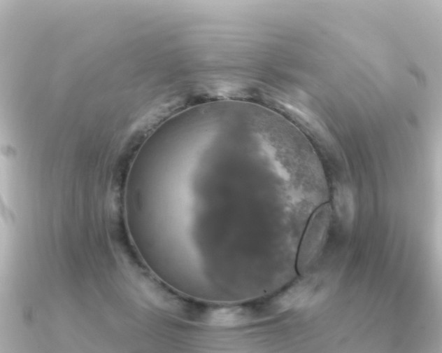 X0000091350461200708101533