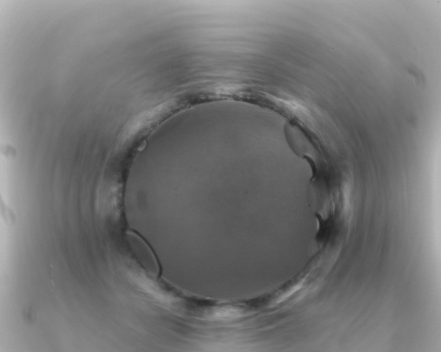 X0000091350462200708101533