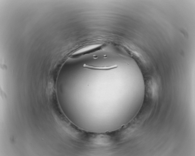 X0000091350463200708101533