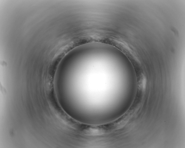 X0000091350464200708101533