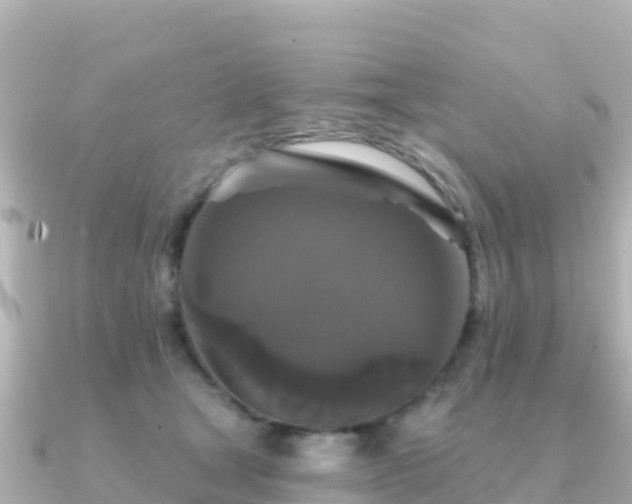 X0000091350465200708101533