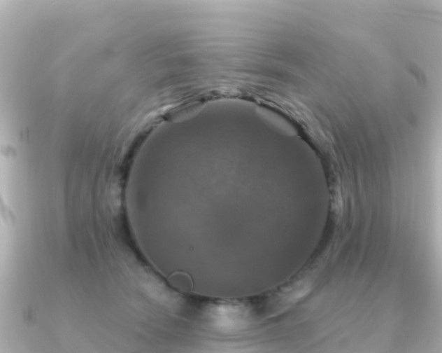 X0000091350466200708101533