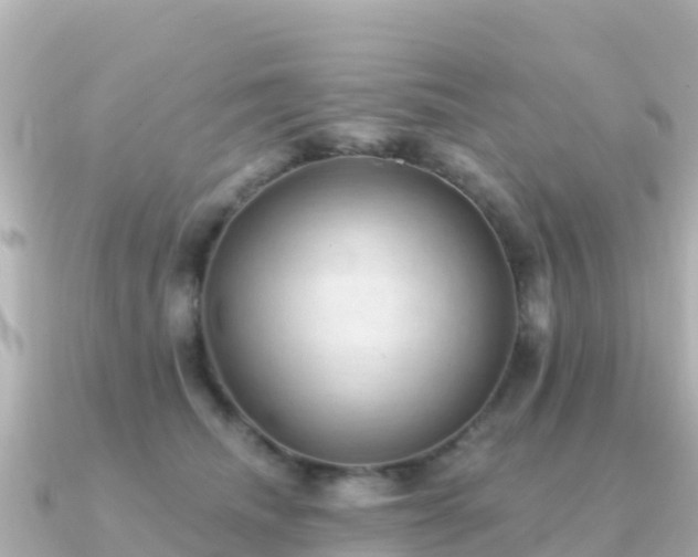 X0000091350468200708101534