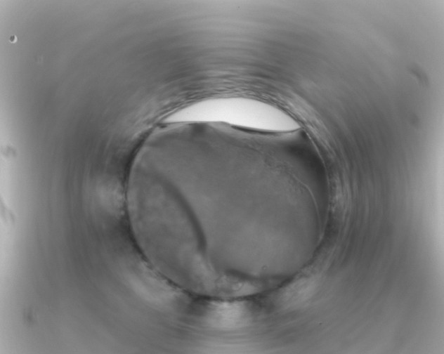 X0000091350469200708101534