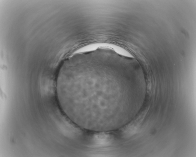 X0000091350470200708101534