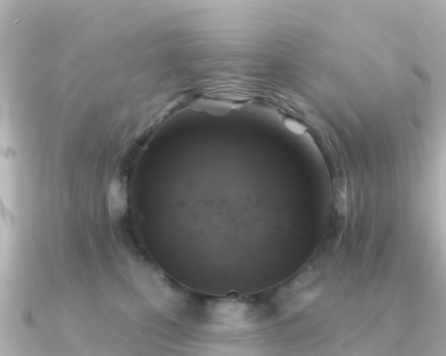 X0000091350471200708101534