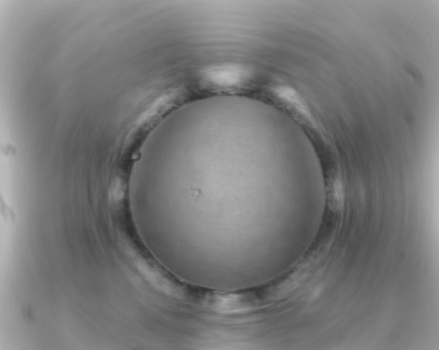 X0000091350472200708101534