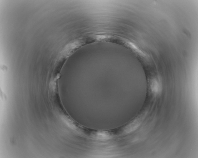 X0000091350475200708101534