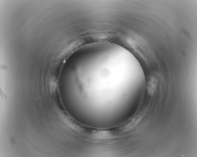 X0000091350476200708101534
