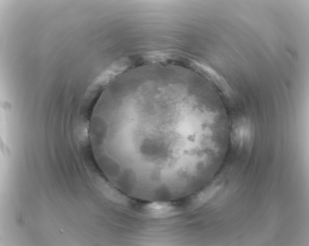X0000091350477200708101534