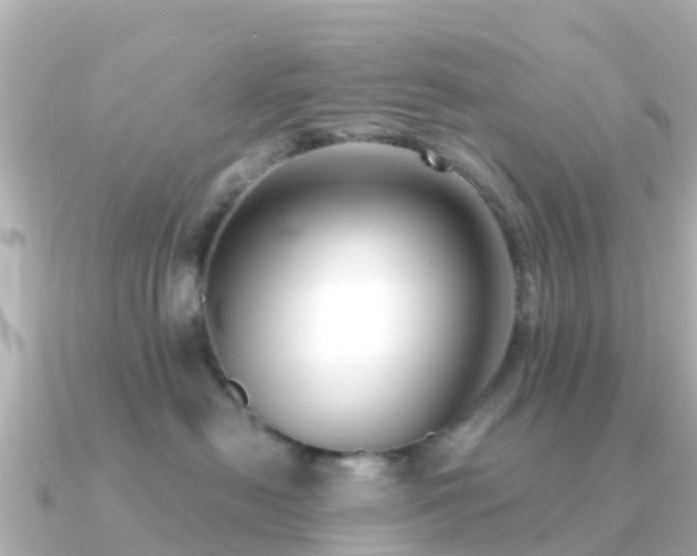 X0000091350478200708101534