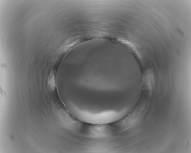 X0000091350479200708101534